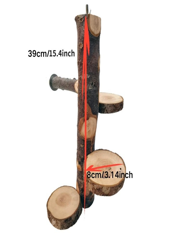 Barn Eleven Chinchilla Large Hanging Wooden Rotating Platform - Small Animal Natural Fruit Wood Standing Platform for Squirrels, Sugar Gliders & Birds - Image 2